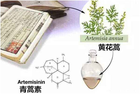 华球手机官网（上海）有限公司,：向中医药看齐，与世界共享中医药文化(图1)